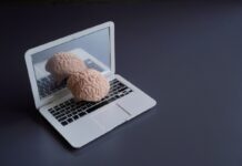 Безумные теории о человеческом сознании Человеческий мозг на ноутбуке