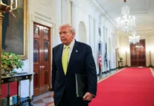 donald tramp udivil mir sudbonosnoj vstrechej s vladimirom putinym i intrigoj s zelenskim-missionary-su-0