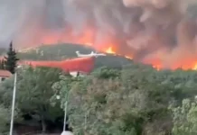 Франсуа Байру и Жак Пиро комментируют крупнейший за 76 лет пожар во Франции fransua bajru i zhak piro kommentiruyut krupnejshij za 76 let pozhar vo franczii-missionary-su-0