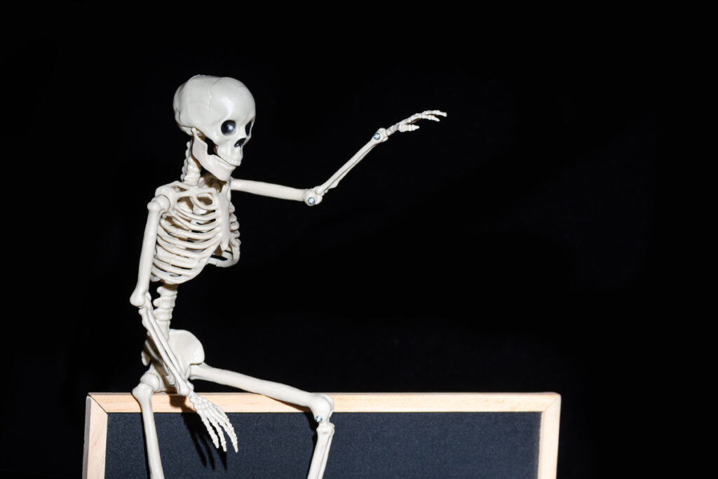 Забавный человеческий скелет, сидящий на пустом черном флипчарте