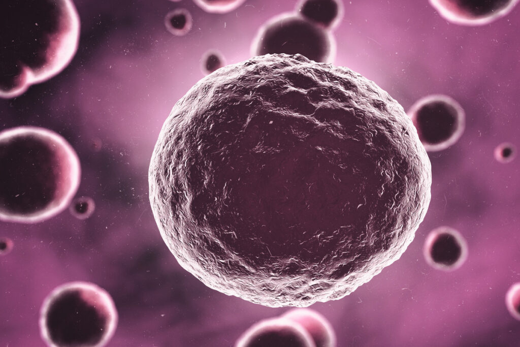 Изображение клеток под микроскопом