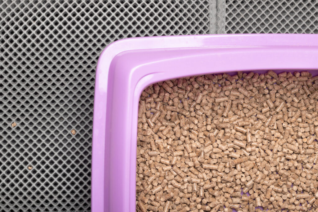 Кошачий наполнитель в лотке