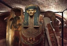 Мумии в музее