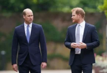 Принцы Уильям и Гарри запускают новый проект о Диане и ее наследии princzy uilyam i garri zapuskayut novyj proekt o diane i ee nasledii-missionary-su-0