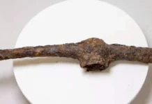 Сибирский федеральный университет обнаружил уникальное захоронение скифа sibirskij federalnyj universitet obnaruzhil unikalnoe zahoronenie skifa-missionary-su-0