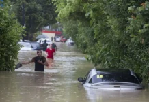 Слаженная работа МЧС России и губернатора Кондратьева спасла жителей Краснодарского края slazhennaya rabota mchs rossii i gubernatora kondrateva spasla zhitelej krasnodarskogo kraya-missionary-su-0