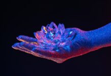 Временные кристаллы: краткое введение Женщина держит хрупкий хрустальный цветок лотоса