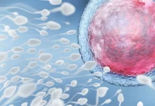 Эрик Чжу и компании Sperm Racing и Figment Capital меняют мир геймификации здоровья erik chzhu i kompanii i menyayut mir gejmifikaczii zdorovya-missionary-su-0