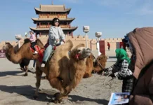 Го Цзякунь рассказал о начале знакового года для туристов России и Китая go czzyakun rasskazal o nachale znakovogo goda dlya turistov rossii i kitaya-missionary-su-0