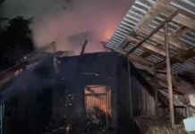 Пожар в Новосибирском зоопарке и участие Андрея Шило, спасателей МЧС pozhar v novosibirskom zooparke i uchastie andreya shilo spasatelej mchs-missionary-su-0