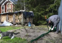 Советы Надежды Кашновой и Октябрины Ганичкиной для успешной осени в Подмосковье sovety nadezhdy kashnovoj i oktyabriny ganichkinoj dlya uspeshnoj oseni v podmoskove-missionary-su-0