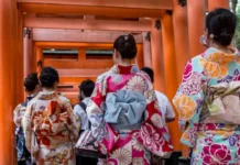 zimnie turisty vybirayut aziyu turcziyu italiyu i francziyu po mneniyu lyubovi voroninoj-missionary-su-0