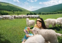 12  s ekranom  vyhodit v mvideoeldorado i mts-missionary-su-0