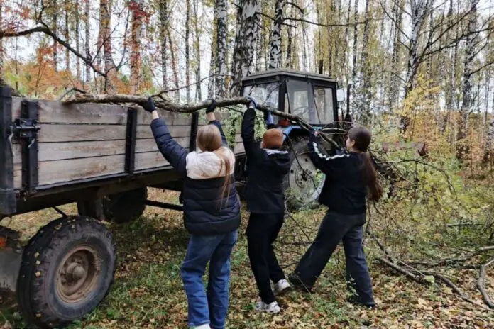 Денис Мамонтов выражает благодарность за чистоту в Свердловской области-0