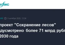 Дмитрий Патрушев и Минприроды усиливают охрану лесов в Забайкальском крае dmitrij patrushev i minprirody usilivayut ohranu lesov v zabajkalskom krae-missionary-su-0