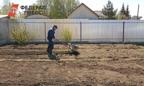 Дума Югры окончательно утвердила права инвалидов и ветеранов СВО-0