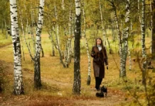 gidrometczentr rf soobshhaet pozitivnyj prognoz dlya moskvy i podmoskovya v oktyabre-missionary-su-0