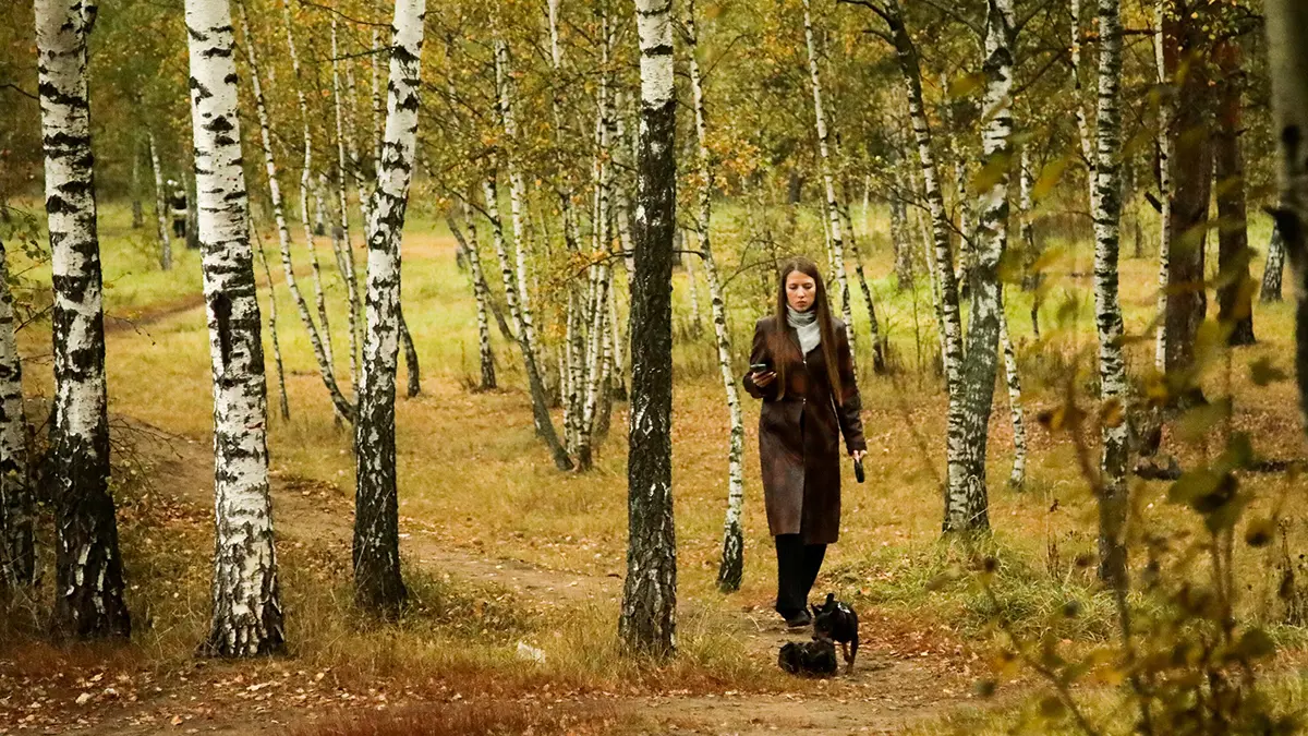 Погода в Москве 19 октября 2025 года