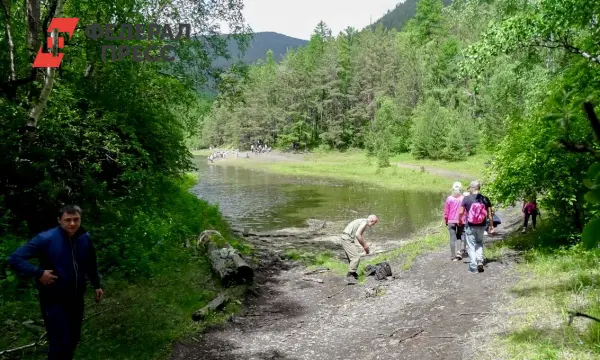 Илья Сулоев и Иван Бахилов создадут экоферму в Рязанской области-0
