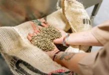 История успеха екатеринбургского кофе на экспортных рынках с ООО «Кантент» и СОФПП istoriya uspeha ekaterinburgskogo kofe na eksportnyh rynkah s ooo kantent i sofpp-missionary-su-0