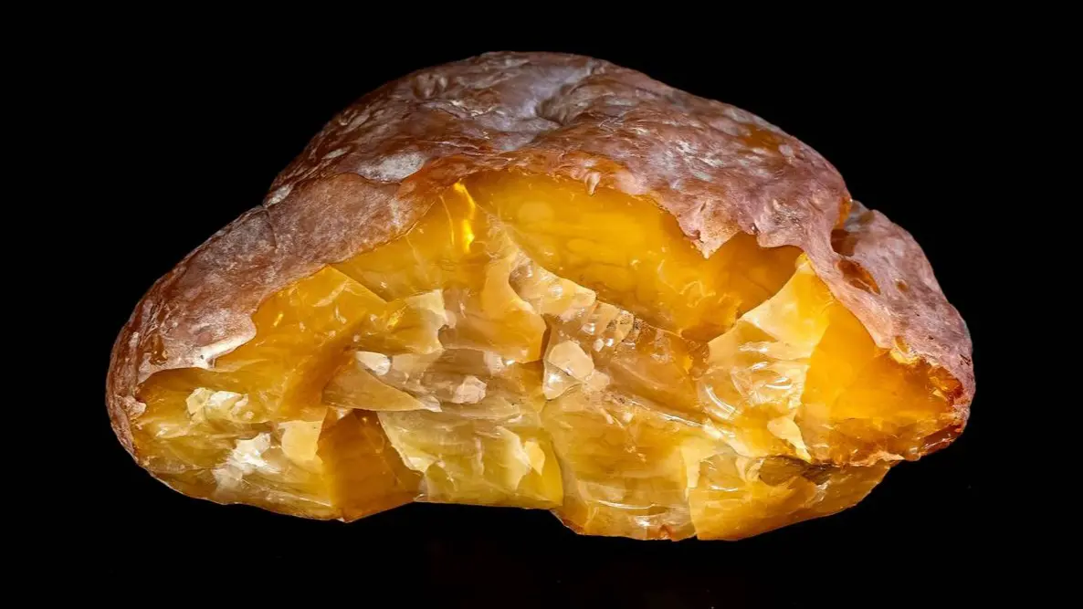 Янтарь весом 2,37 килограмма добыли в Калининградской области