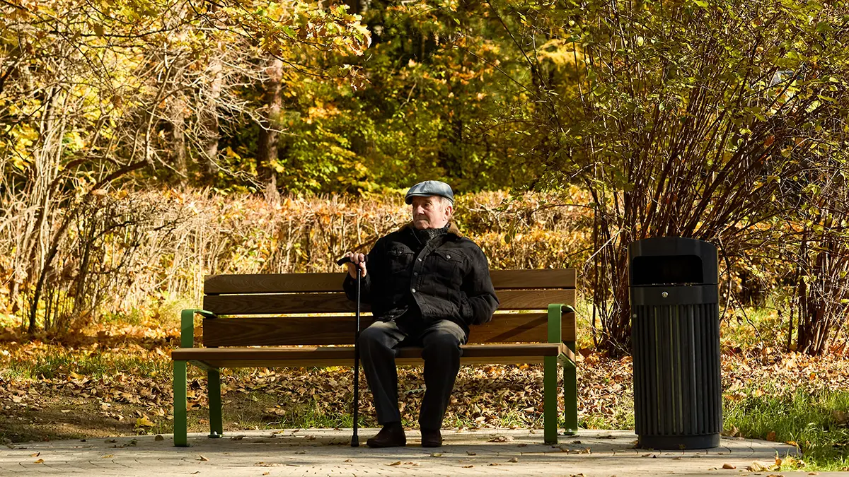 Какие сроки подачи заявлений на государственные выплаты для пенсионеров