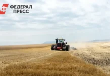 Минсельхоз России сообщает о рекордном урожае пшеницы, ячменя и экспорте зерна minselhoz rossii soobshhaet o rekordnom urozhae psheniczy yachmenya i eksporte zerna-missionary-su-0