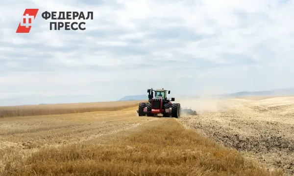 Минсельхоз России сообщает о рекордном урожае пшеницы, ячменя и экспорте зерна-0