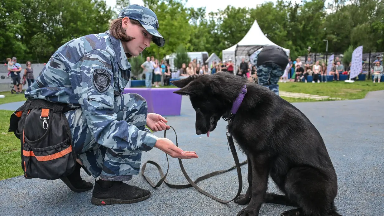 Сергунина: Жители столицы назвали любимые форматы программы «Друг, спасатель, защитник»