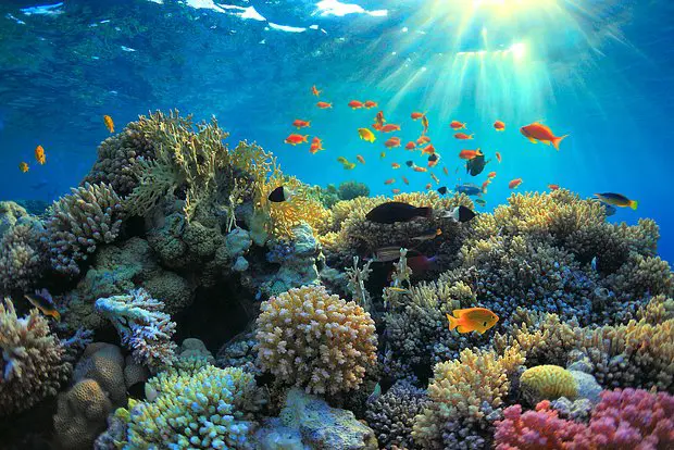 Вводная картинка