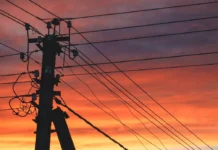 Россети Ленэнерго и Денис Николаев улучшили электроснабжение под Петербургом rosseti lenenergo i denis nikolaev uluchshili elektrosnabzhenie pod peterburgom-missionary-su-0