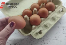 Россия входит в число лидеров мира по доступности яиц, отмечает Росстат rossiya vhodit v chislo liderov mira po dostupnosti yaicz otmechaet rosstat-missionary-su-0