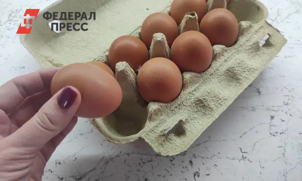 Россия входит в число лидеров мира по доступности яиц, отмечает Росстат-0