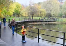 sergej sobyanin otmetil obnovlenie parka dubrava kak novuyu gordost moskvy-missionary-su-0