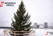 В Нижневартовске планируется создание новогодних городков на площади Нефтяников и набережной Оби v nizhnevartovske planiruetsya sozdanie novogodnih gorodkov na ploshhadi neftyanikov i naberezhnoj obi-missionary-su-0