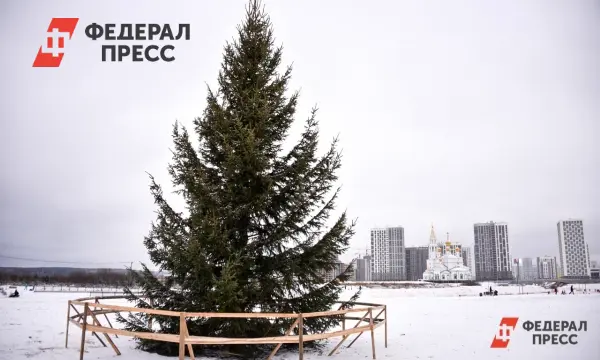 В Нижневартовске планируется создание новогодних городков на площади Нефтяников и набережной Оби-0