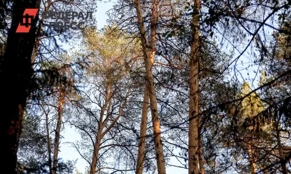 Василий Федюнин рассказал о поисках Усольцевых в Красноярском крае-0