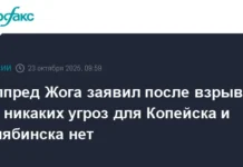 Жога и Текслер заверили в безопасности жизни Копейска и Челябинска zhoga i teksler zaverili v bezopasnosti zhizni kopejska i chelyabinska-missionary-su-0