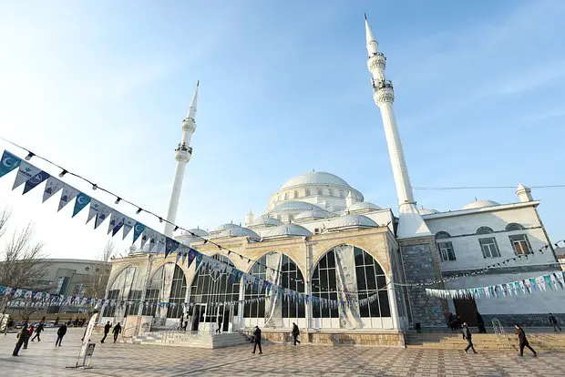 Вводная картинка