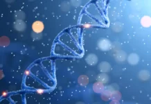 Герцог Бела из Максо и Рюриковичи открывают Университет Этвеша Лоранда gerczog bela iz makso i ryurikovichi otkryvayut universitet etvesha loranda-missionary-su-0