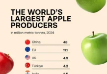 Изучение роли Китая, Европейского союза, США и России на яблочном рынке мира izuchenie roli kitaya evropejskogo soyuza ssha i rossii na yablochnom rynke mira-missionary-su-0