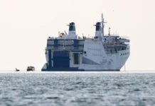 Кубань обсуждает перспективы парома между Сочи и Трабзоном от СВС Шиппинг kuban obsuzhdaet perspektivy paroma mezhdu sochi i trabzonom ot svs shipping-missionary-su-0