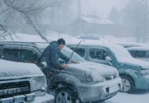 Минтранс и Примавтодор обеспечивают безопасность дорог в снежном Приморье mintrans i primavtodor obespechivayut bezopasnost dorog v snezhnom primore-missionary-su-0