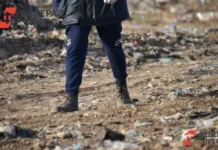 На Камчатке новорожденного обнаружили на свалке, за мать обещан миллион na kamchatke novorozhdennogo obnaruzhili na svalke za mat obeshhan million-missionary-su-0