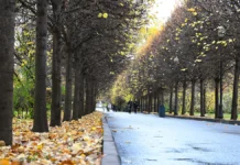 prognosticheskij czentr meteo prognoziruet moskvicham anomalno tepluyu pogodu vsej nedelej-missionary-su-0