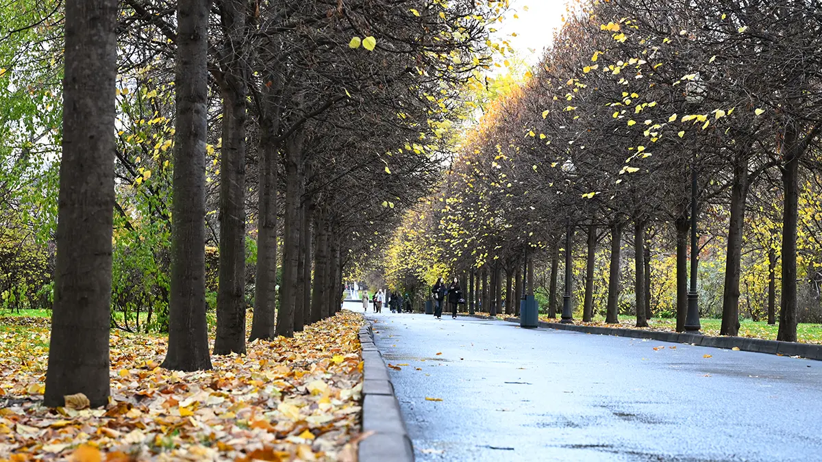 Синоптик Шувалов: Москвичей ждет аномально теплая неделя