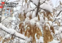 Синоптики Челябинска обещают морозы до -9° и мягкое начало ноября sinoptiki chelyabinska obeshhayut morozy do 9 i myagkoe nachalo noyabrya-missionary-su-0