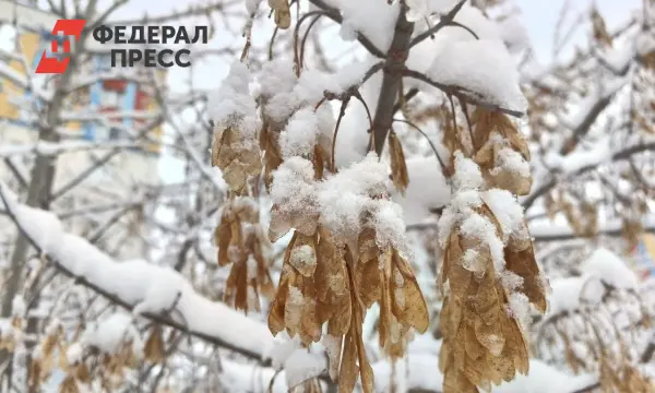 Синоптики Челябинска обещают морозы до -9° и мягкое начало ноября-0