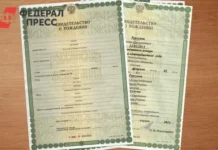 Социальный фонд России в Приморском крае начал выплаты семьям через Госуслуги soczialnyj fond rossii v primorskom krae nachal vyplaty semyam cherez gosuslugi-missionary-su-0