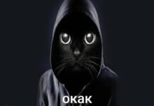 Пупупу, окак и сам решу: создание нового языка Мем "Окак"